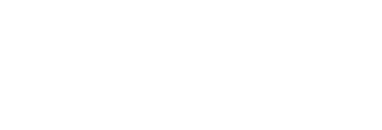 Sara Gomes | Portfolio